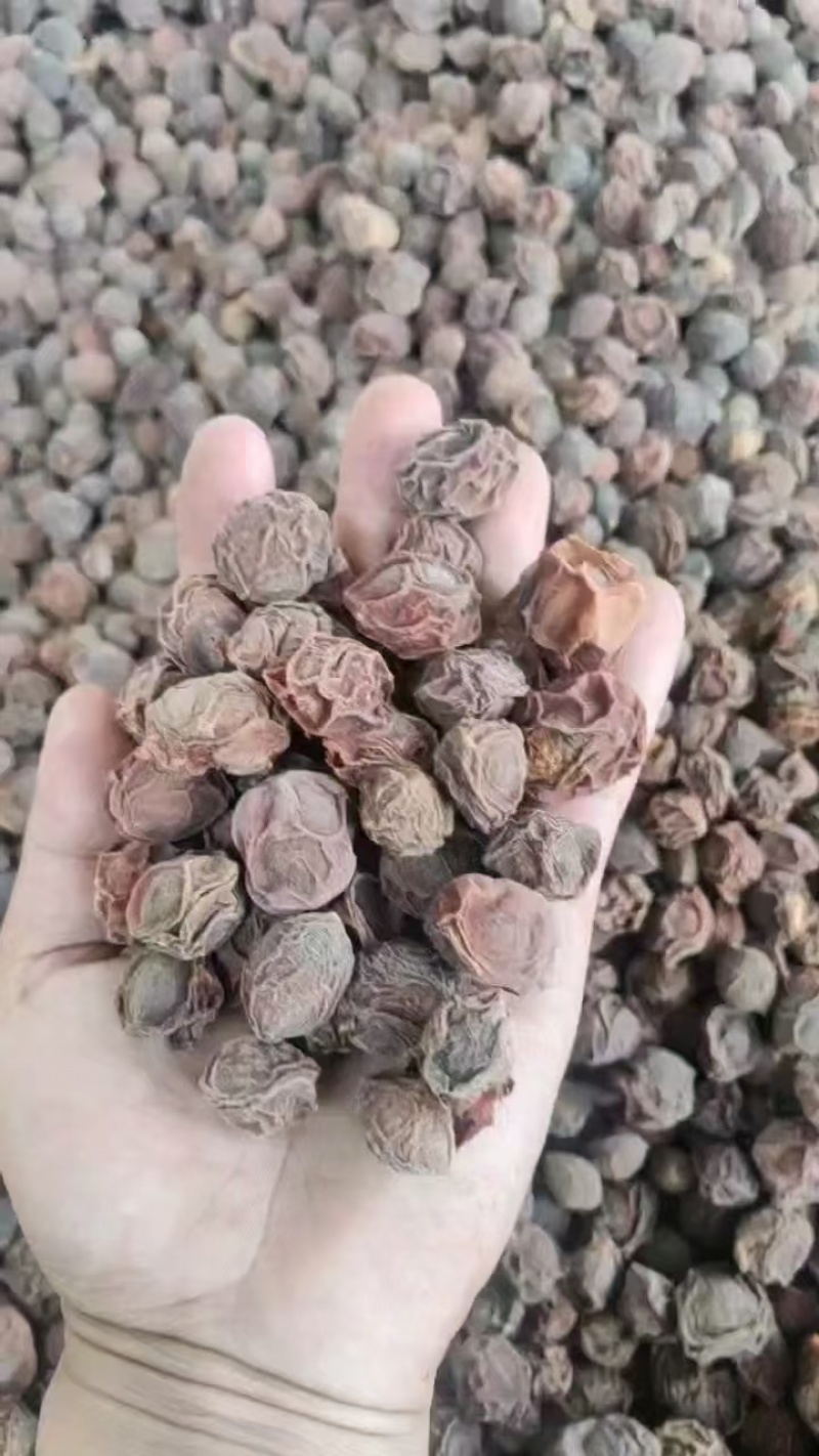 云南乌梅，400粒统货