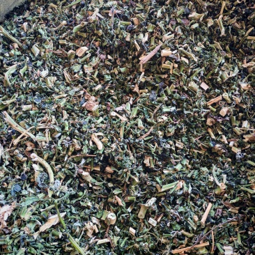 龙葵，新鲜干龙葵，产地直销