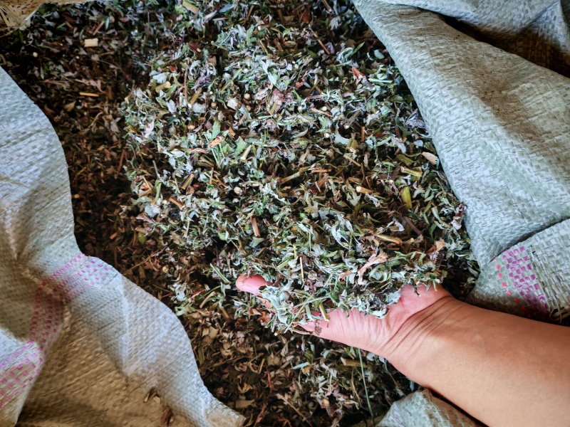 艾草，干切艾草段大量供应，野生艾草，物美价廉