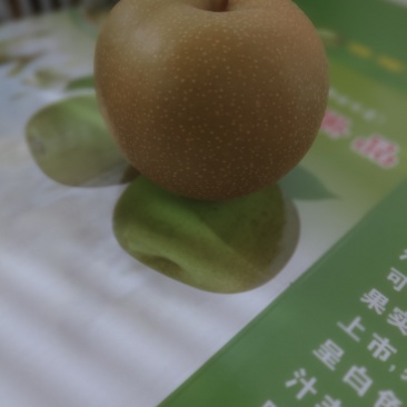 圆黄梨子大量出售，9分甜1分酸，3两5起摘，**巴适