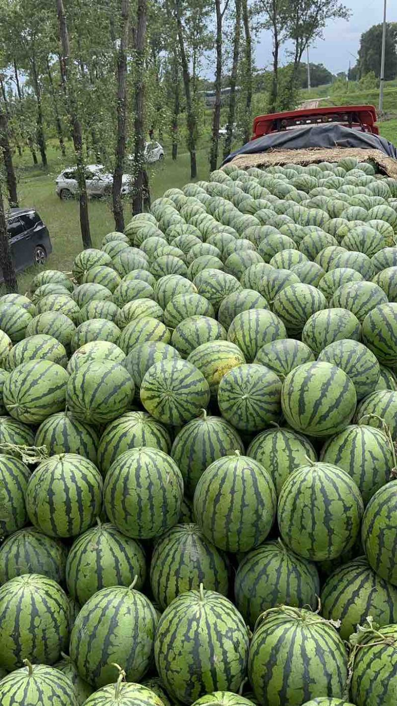 吉林陆地地雷
