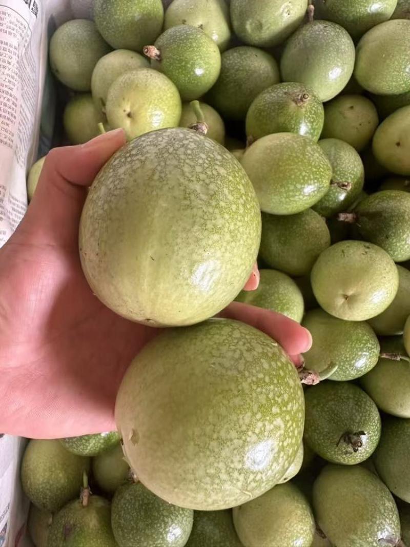 中大果特大果