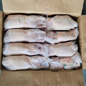厂家新货二级1700白条鸭一车