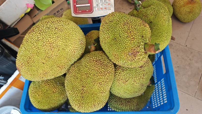 英塘菠萝蜜