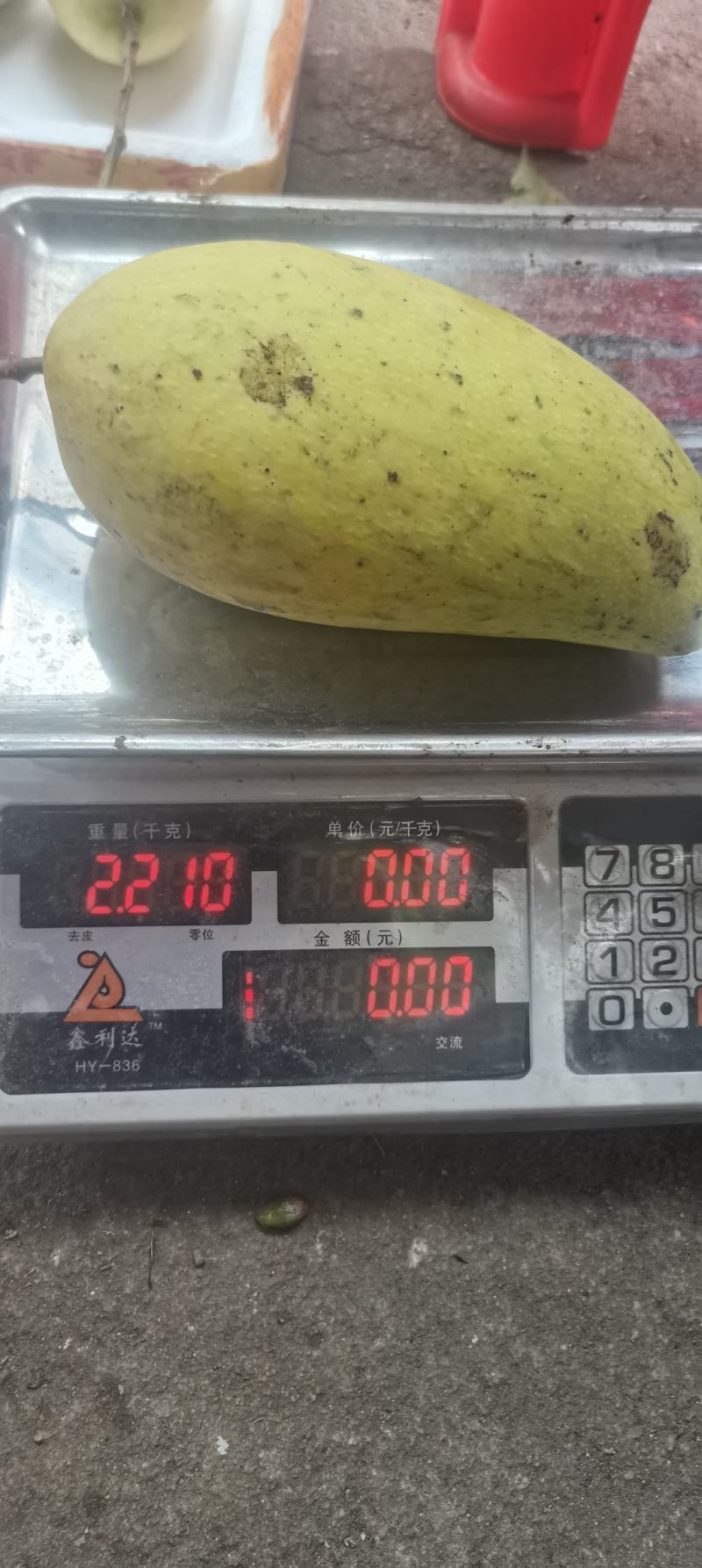 金煌芒果