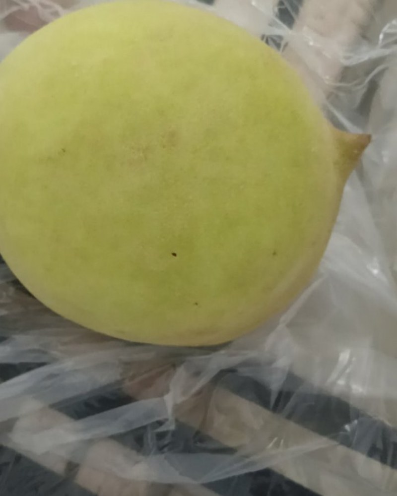 鹰嘴桃