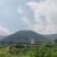 沂蒙山大山里的野蜂蜜