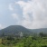 沂蒙山大山里的野蜂蜜