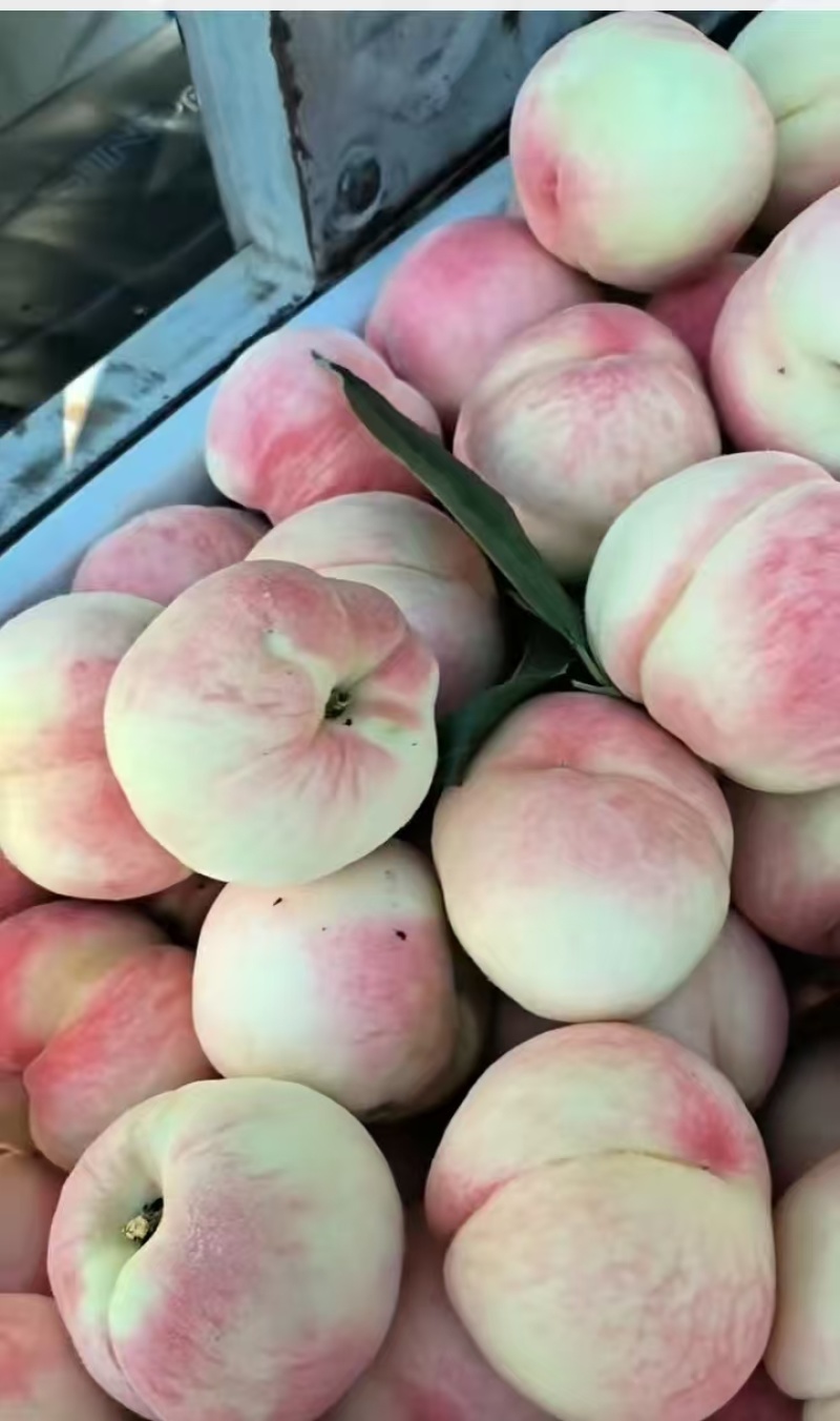 山坡水蜜桃