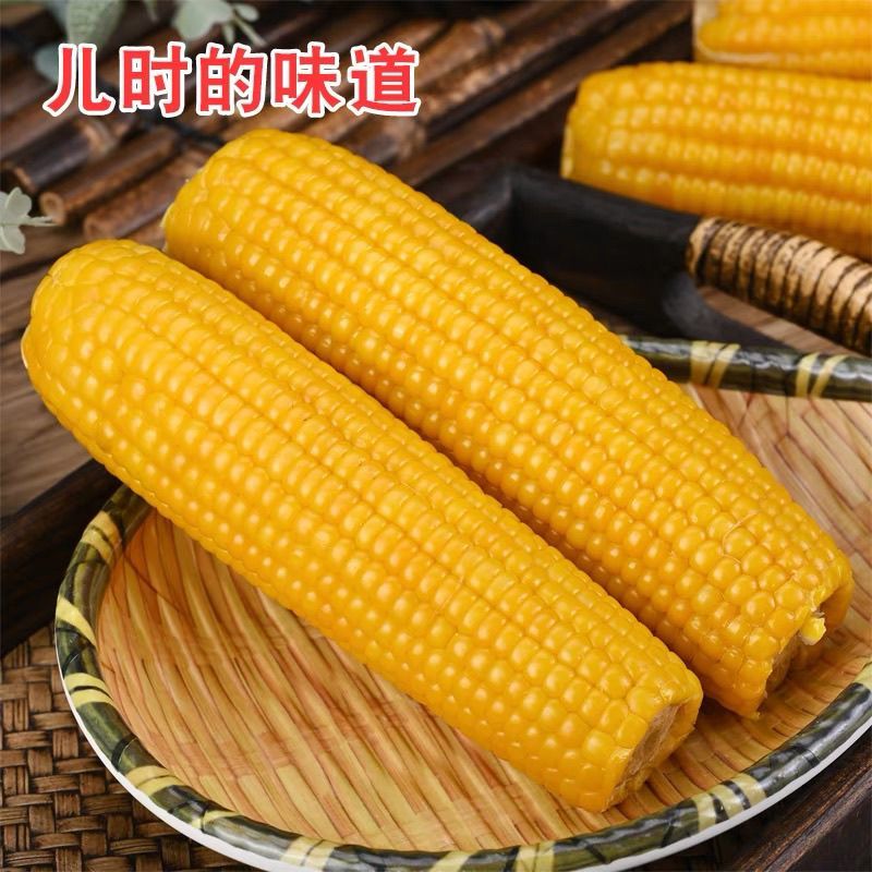 传统老式笨玉米黄玉米粗粮代餐三高可食非转基因正宗老品种笨玉米