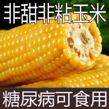 传统老式笨玉米黄玉米粗粮代餐三高可食非转基因正宗老品种笨玉米