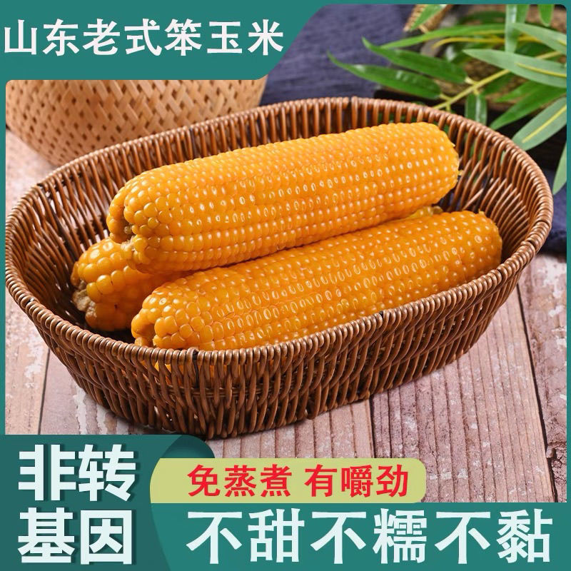 传统老式笨玉米黄玉米粗粮代餐三高可食非转基因正宗老品种笨玉米