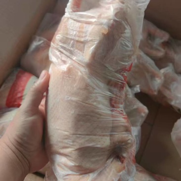 存货一级1050白条鸭5吨