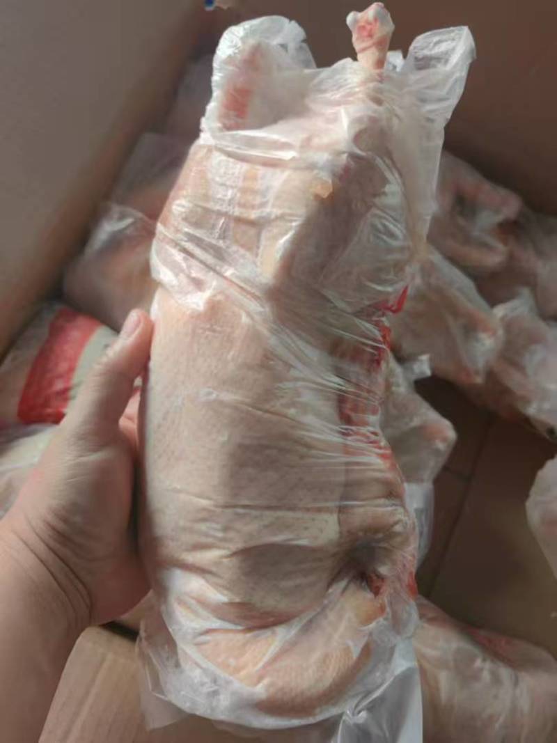 存货一级1050白条鸭5吨