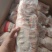 存货一级1050白条鸭5吨