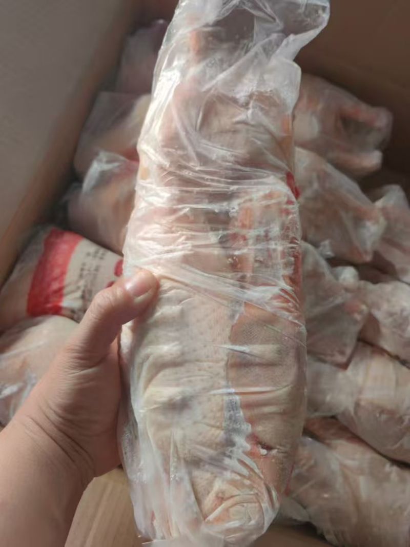 存货一级1050白条鸭5吨