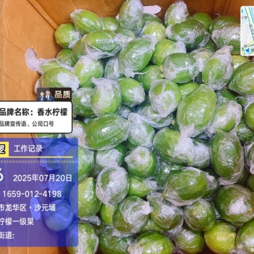 香水柠檬