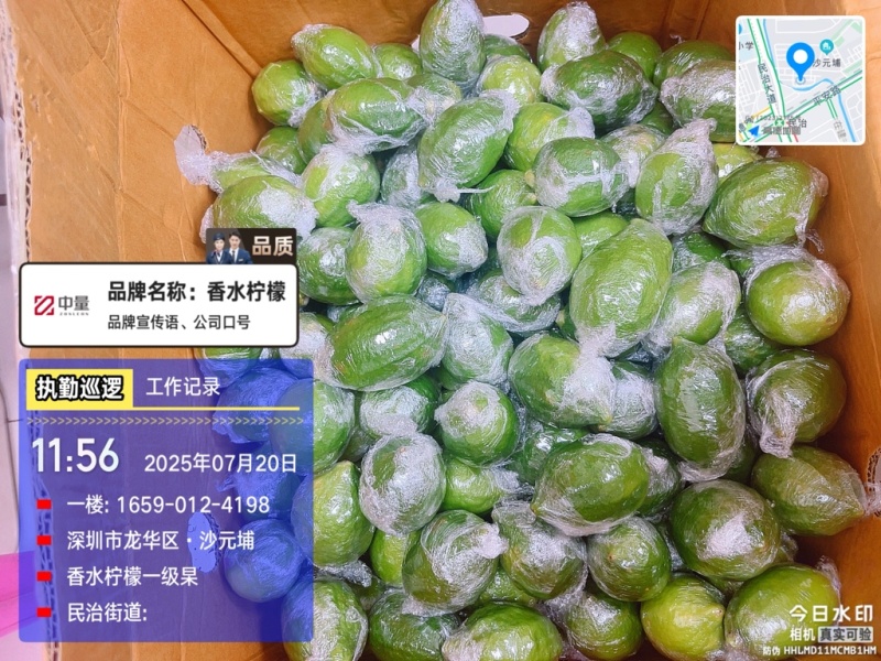 香水柠檬