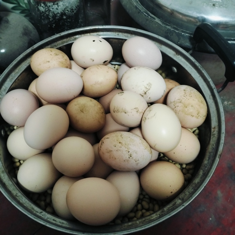 土鸡蛋