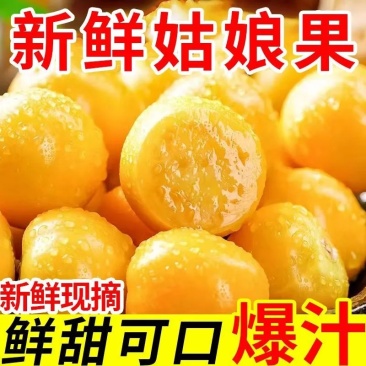 菇娘