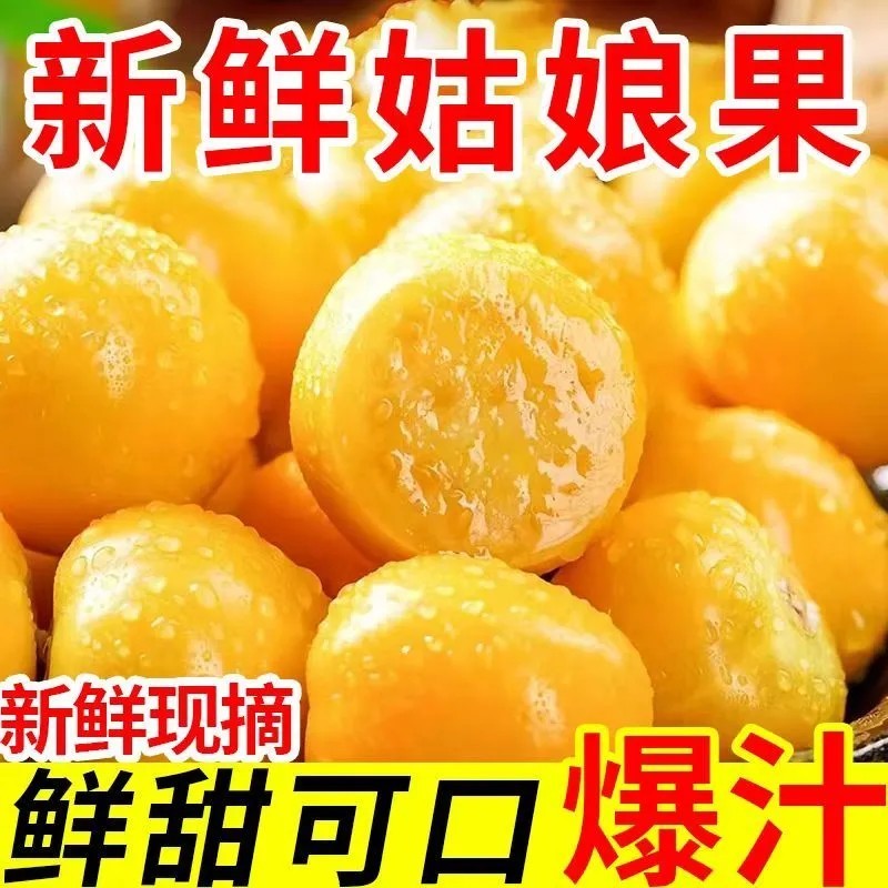 菇娘