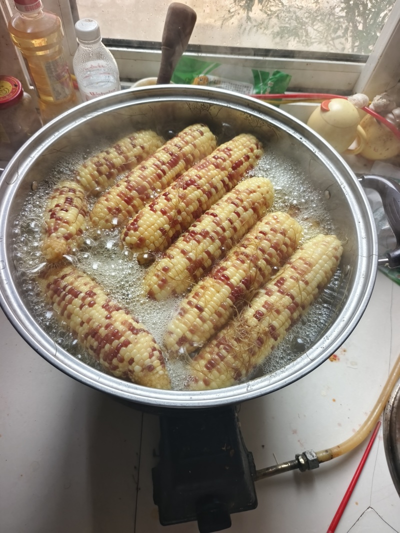 花糯玉米单个重450克