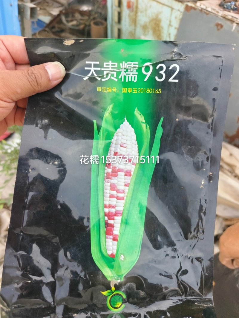 花糯玉米单个重450克