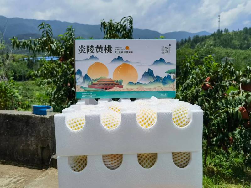 炎陵黄桃，高山黄桃