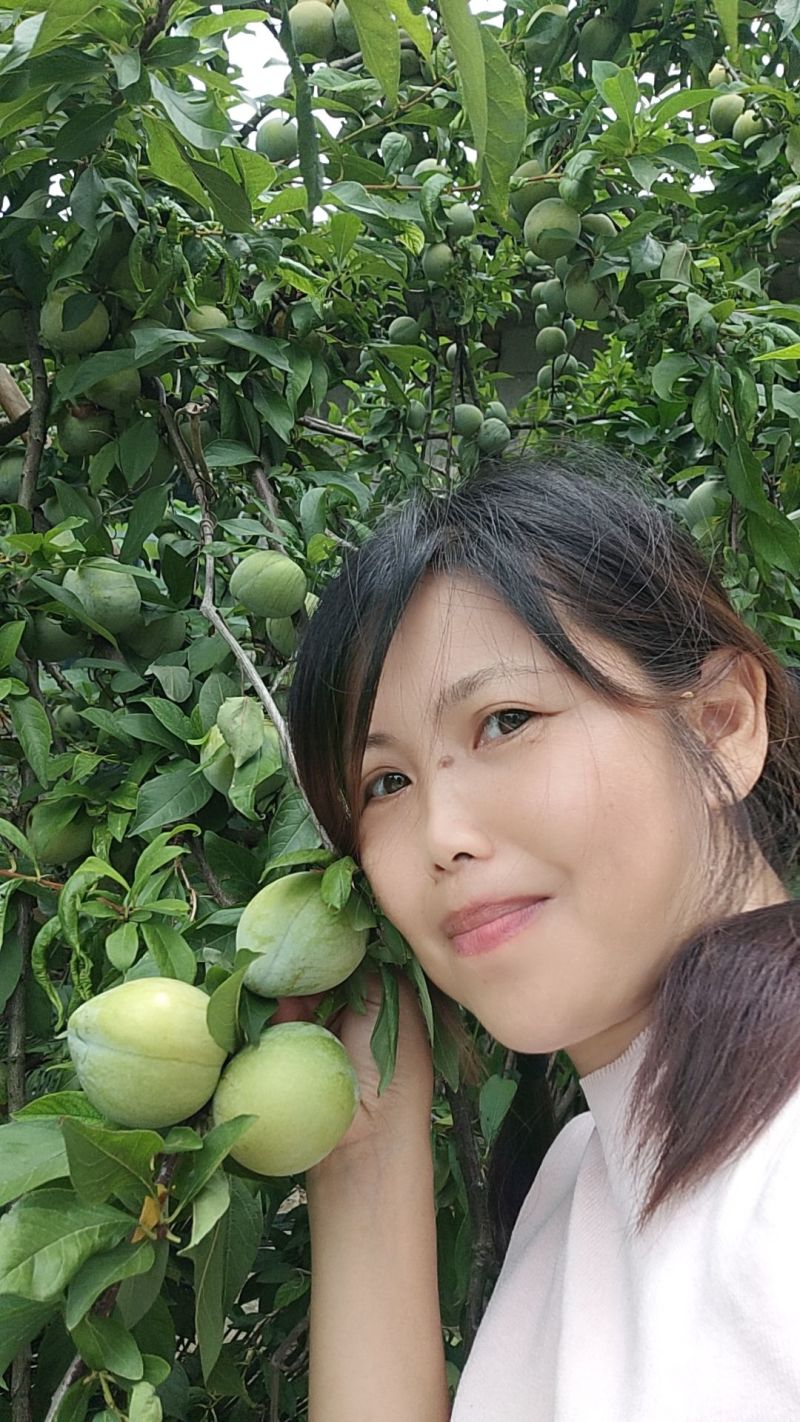 李子