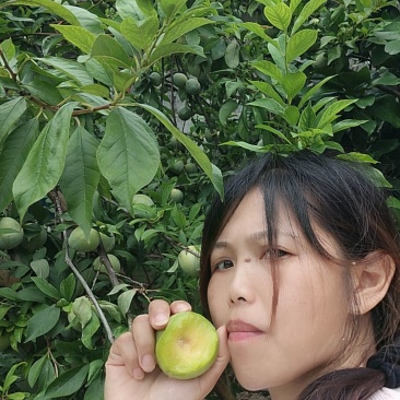 李子