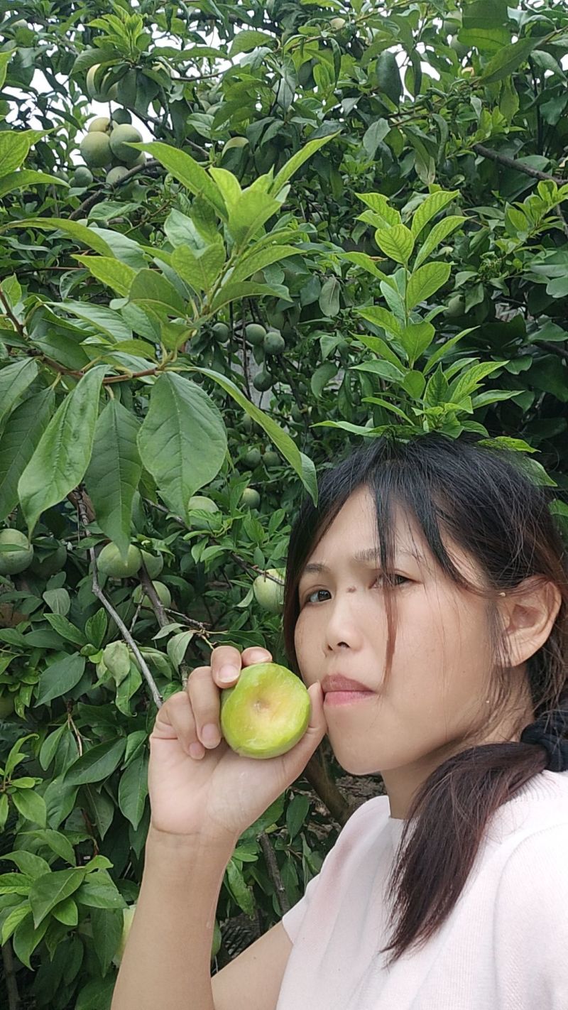 李子