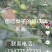 翠冠梨