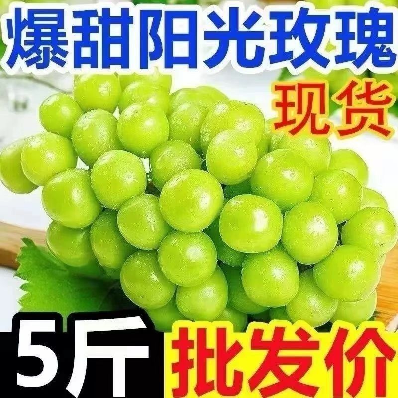 西昌阳光玫瑰