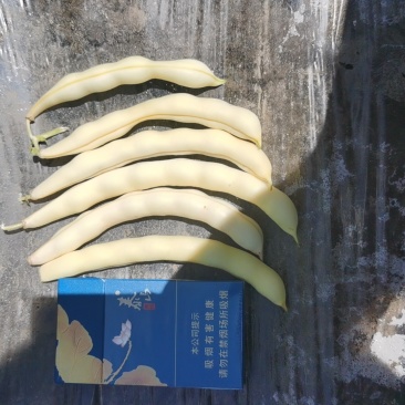 黄金沟