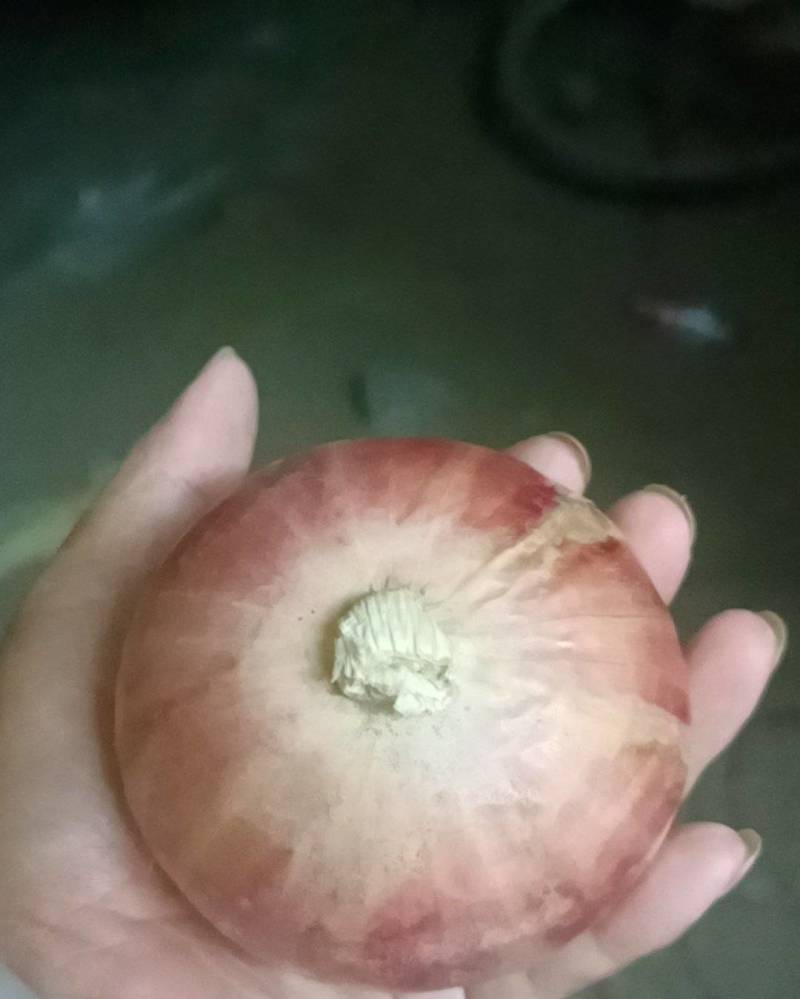 洋葱