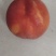 批发黄桃，量大从优