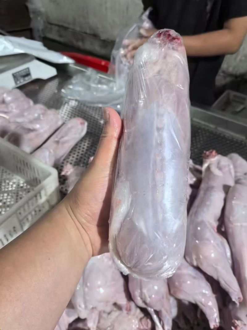 单冻白条兔规格齐全质量保证工厂直发手续都齐全价格优惠