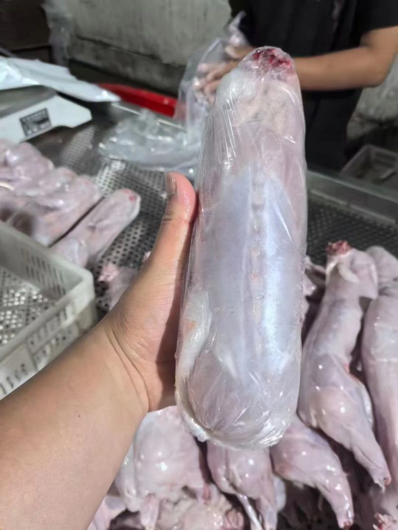 单冻白条兔规格齐全质量保证工厂直发手续都齐全价格优惠
