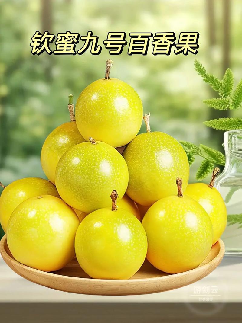 钦密九号百香果