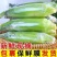 棉花山村玉米
