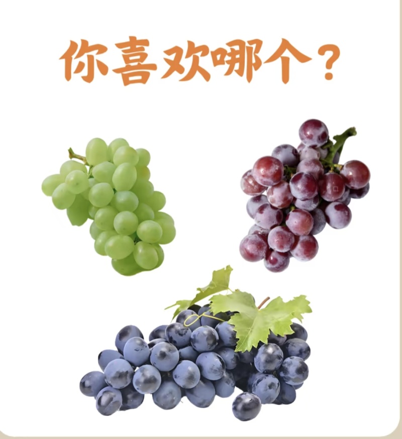 葡萄：巨峰夏黑维多利亚