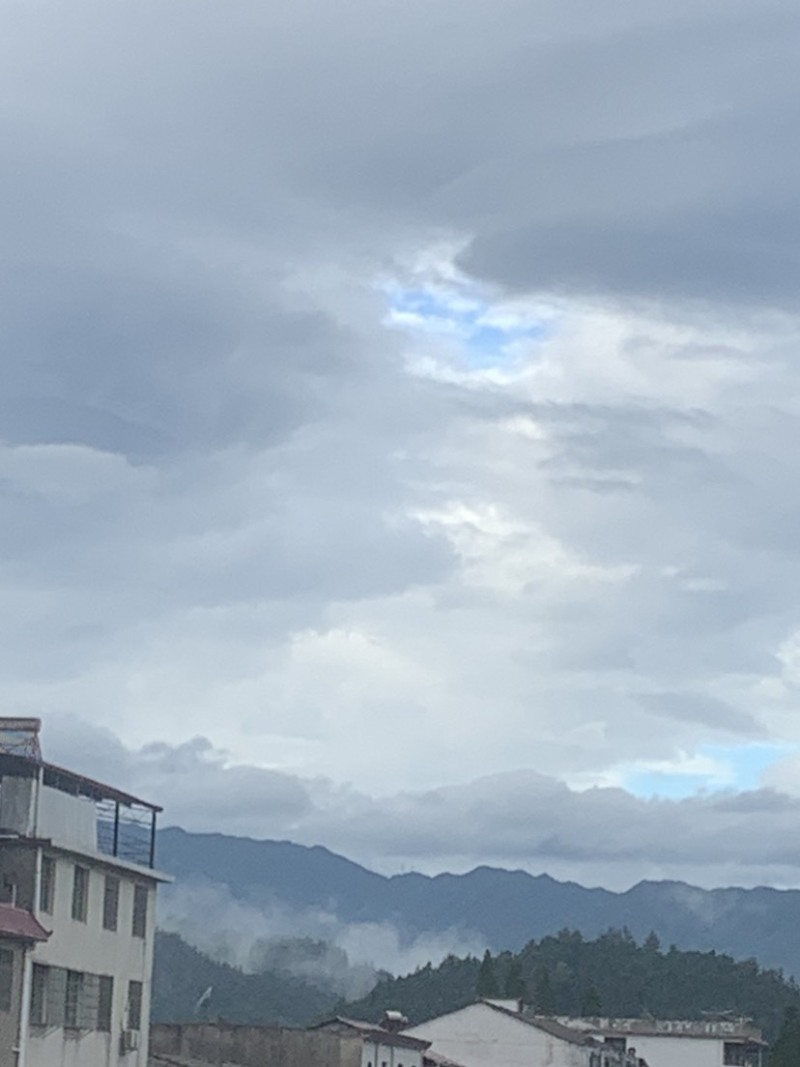 纯野生蜂蜜不卖假货也可以上门带你进入大山寻找蜂蜜各一半