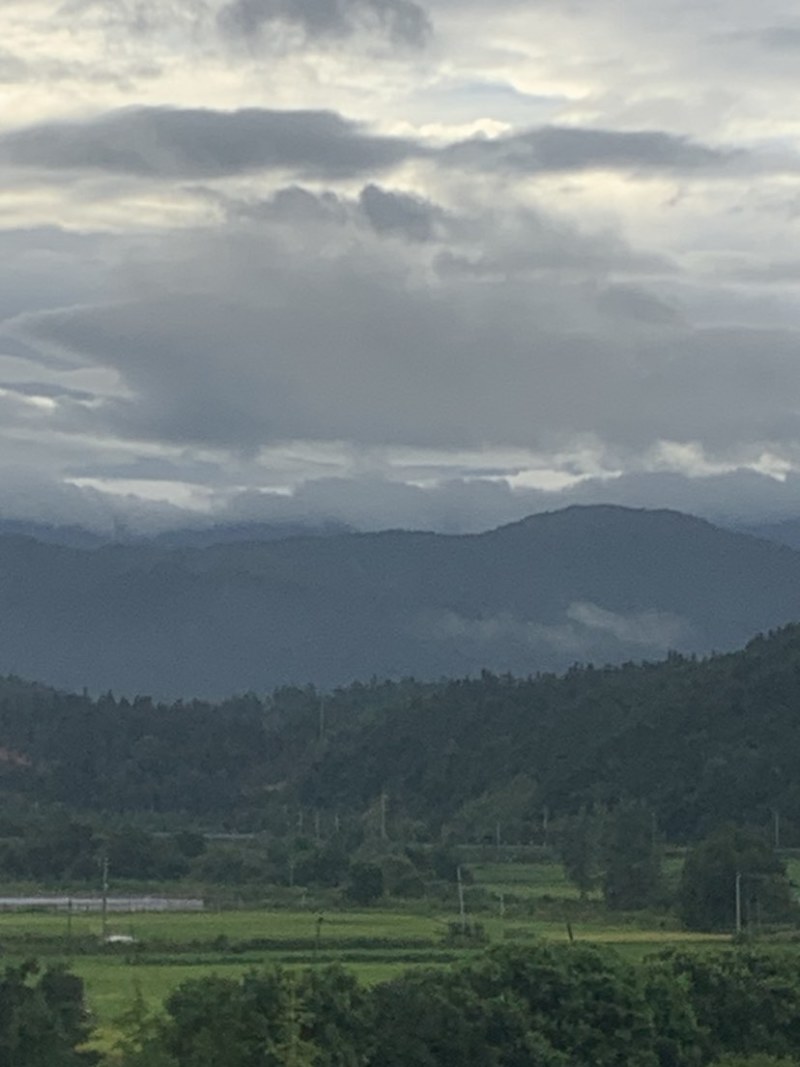 纯野生蜂蜜不卖假货也可以上门带你进入大山寻找蜂蜜各一半