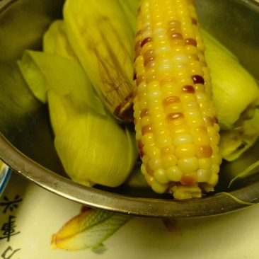 甜糯玉米