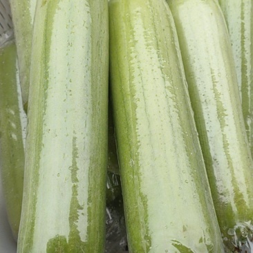 白玉丝瓜