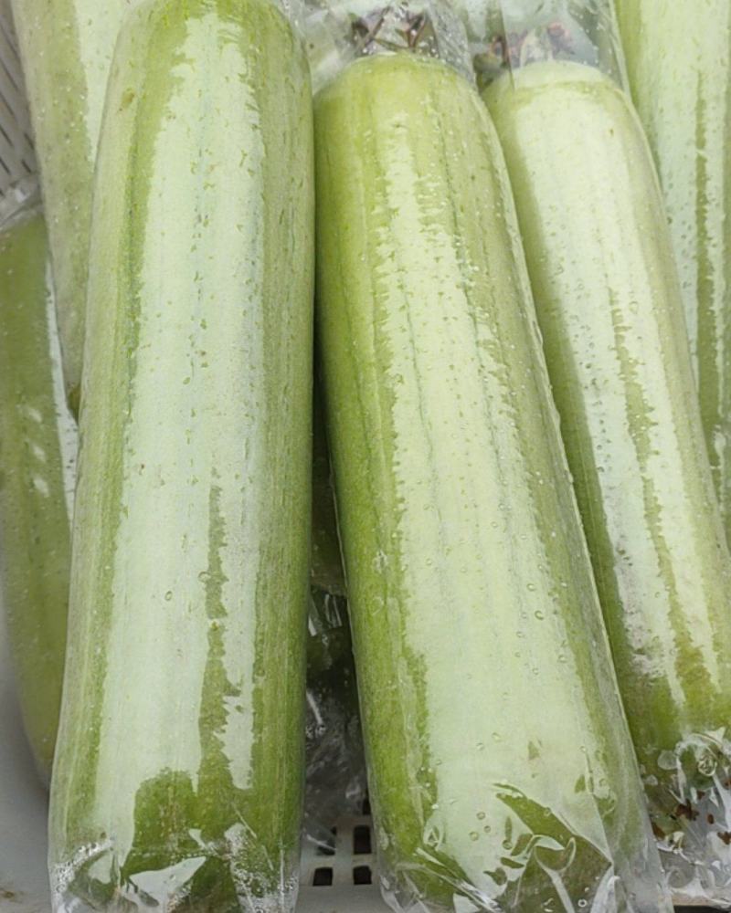 白玉丝瓜
