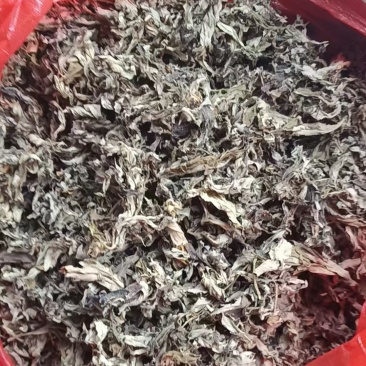 纯干艾叶，十堰山区野生，无梗，头道艾叶，三年陈艾