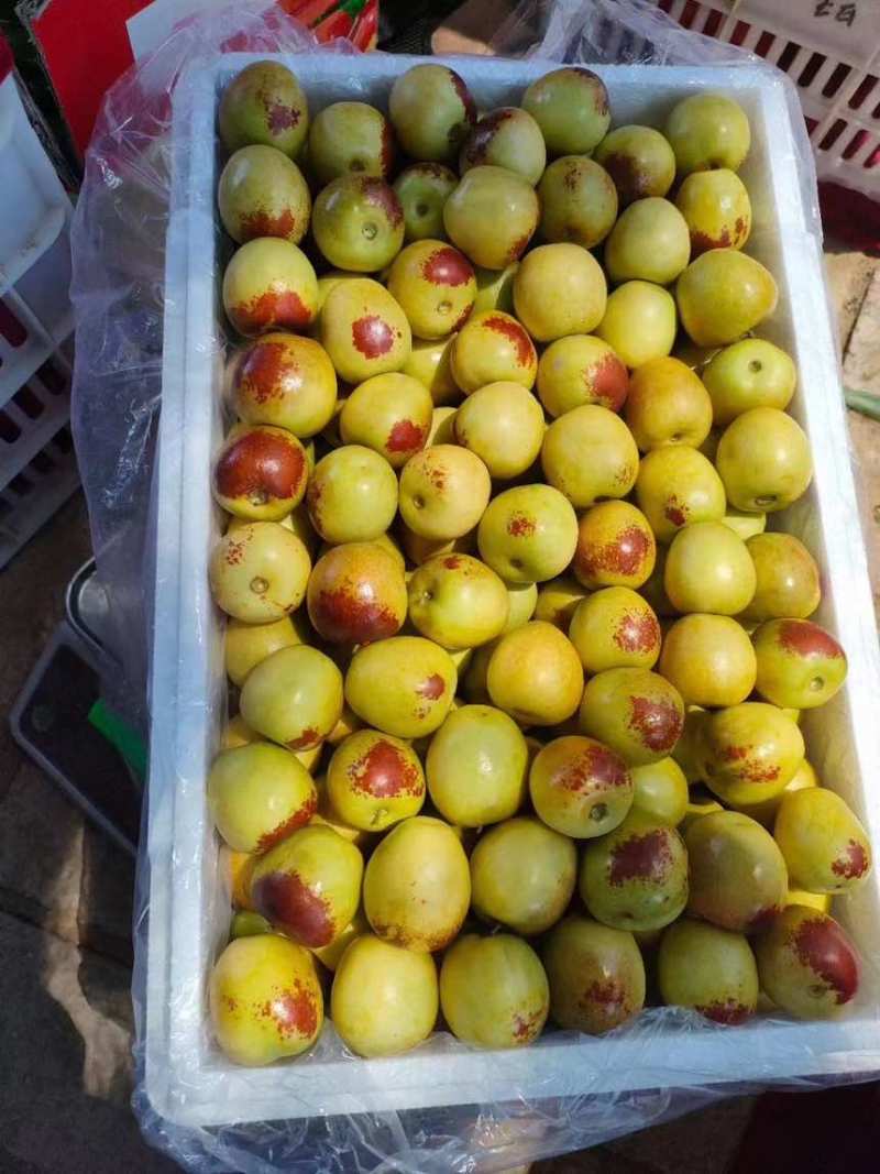 大荔冬枣