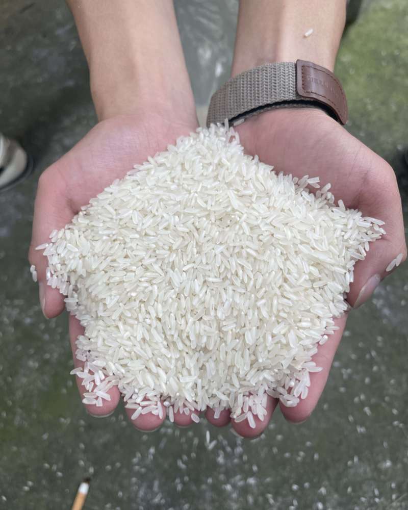 厂家直供长粒香大米，货源充足