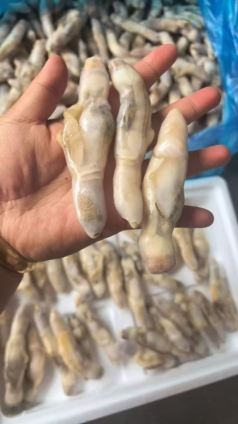 蛏子肉